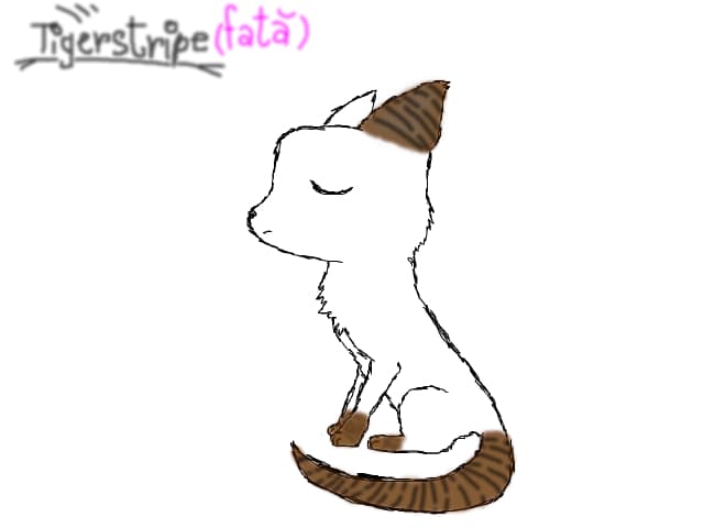 Pisicuta Tigerstripe