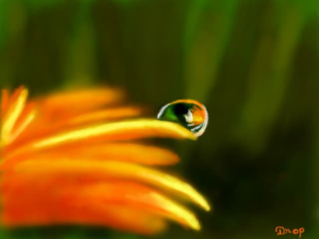 drop