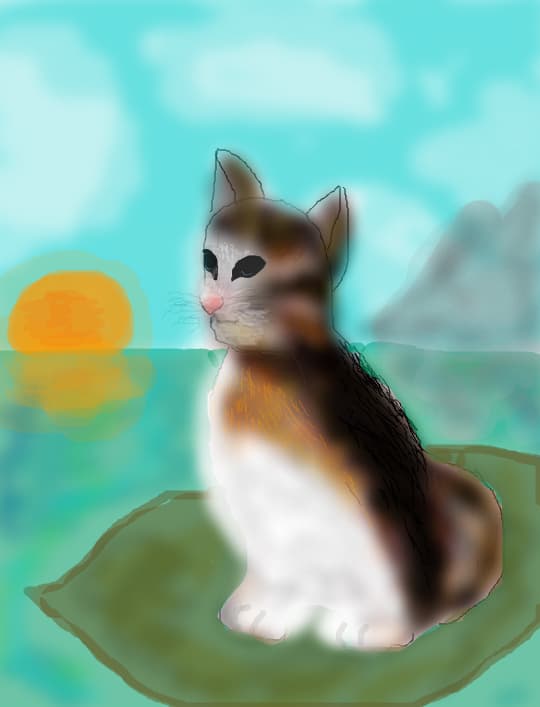 Cat