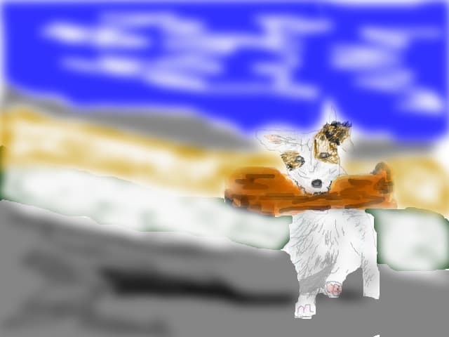 funny dog