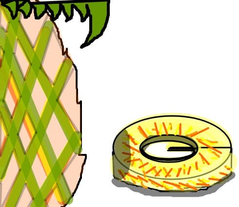 ananas(nu prea reusit!!:(:(:()