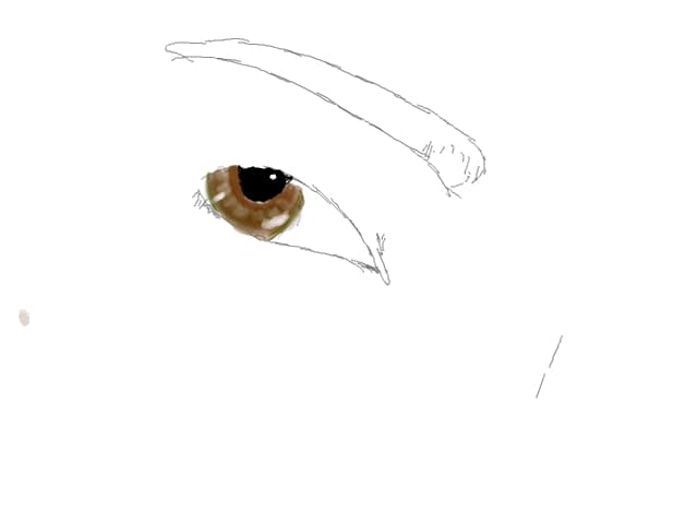 neterminath