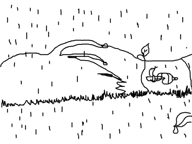Rain,rain