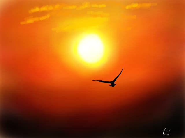Freedom..