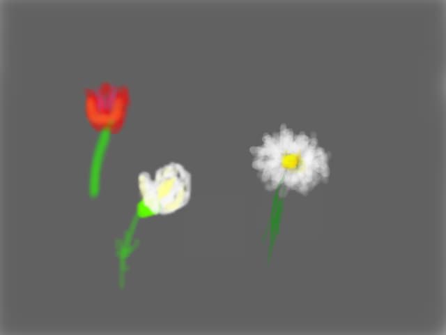 Flori