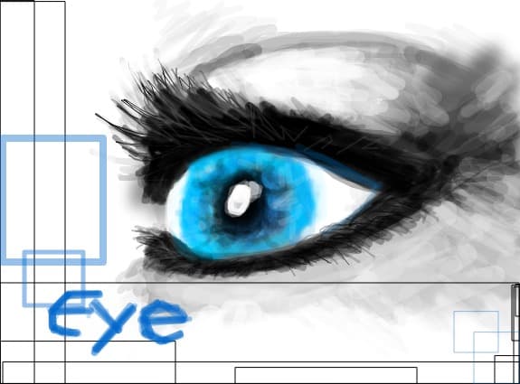Eye