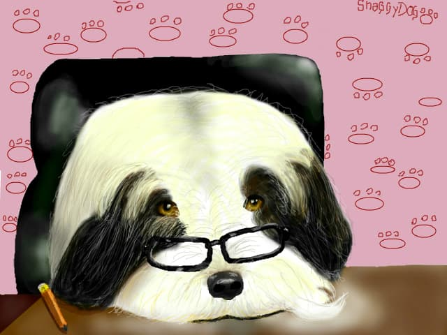 The Shaggy Dog