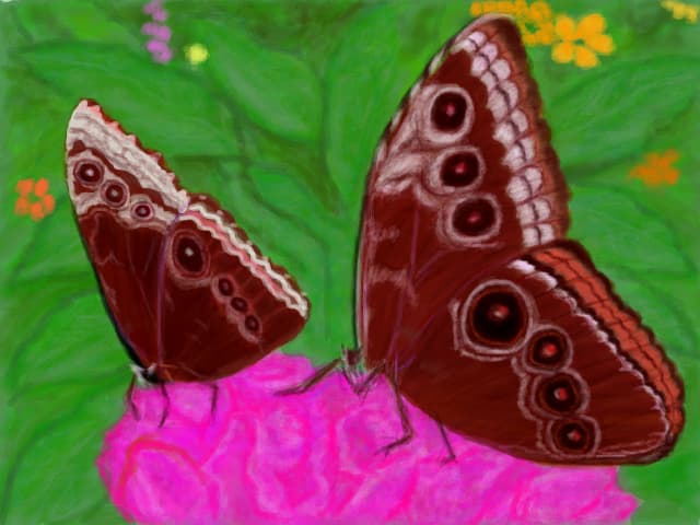 Duet