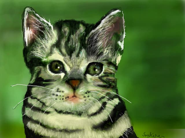 pisi