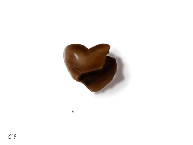Broken heart..