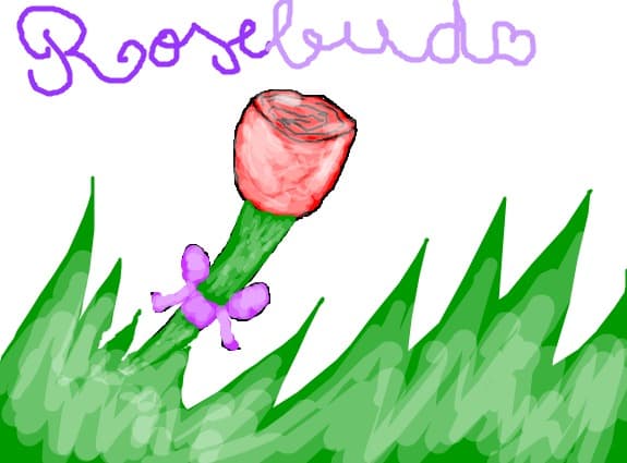 Rosebud