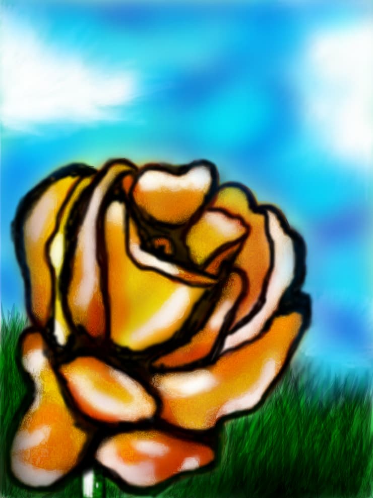 the  rose ...