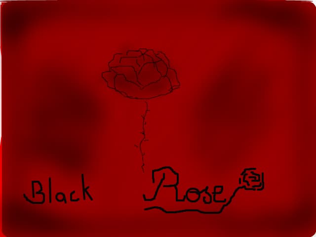 Black Rose
