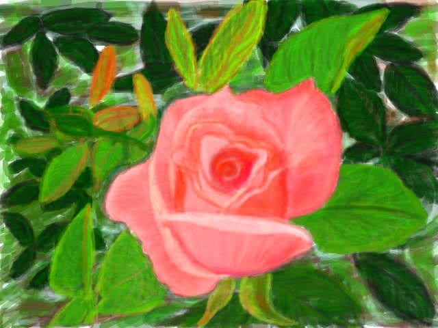 O floare