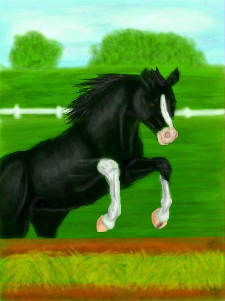 Horse Jumping