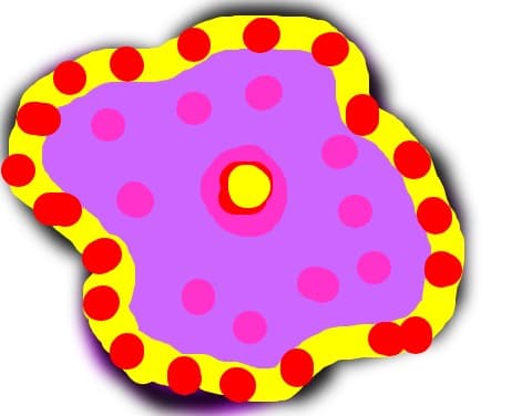 floare