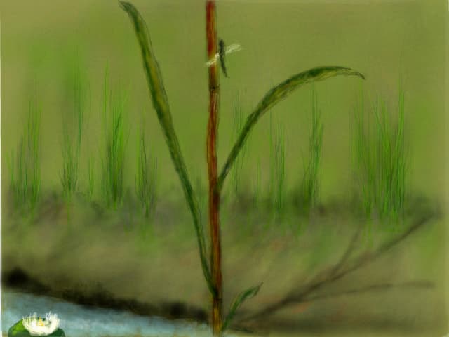 .....in natura