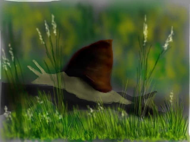 ...un melc