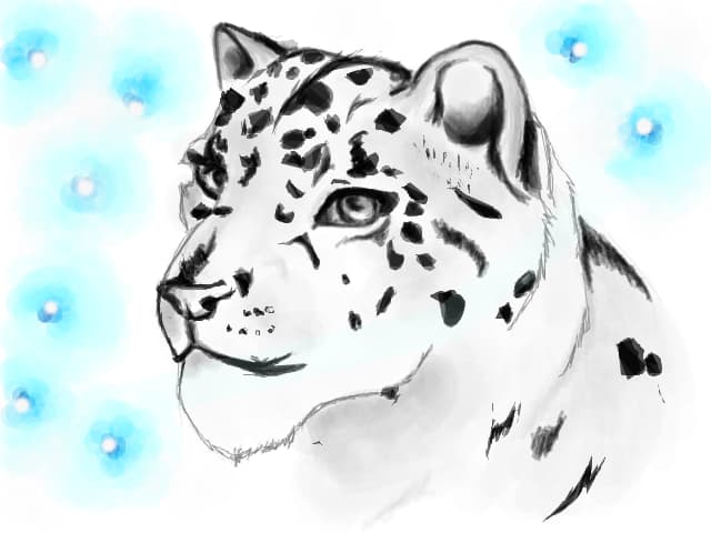 snow leopard