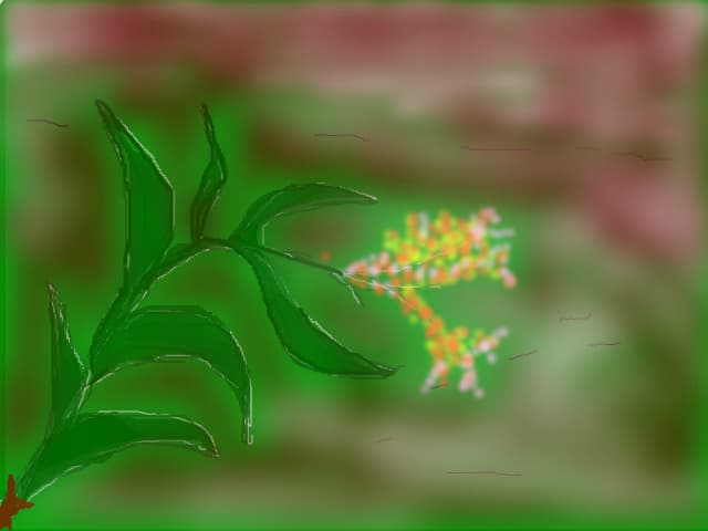 Floricica