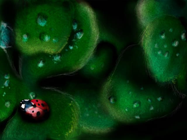 Ladybug :]