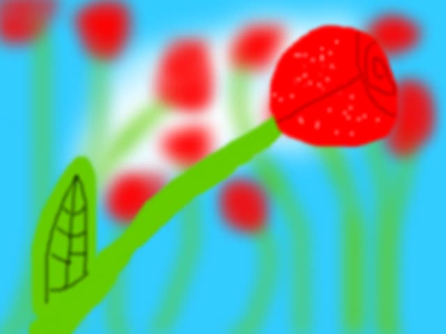 Trandafir + alte flori