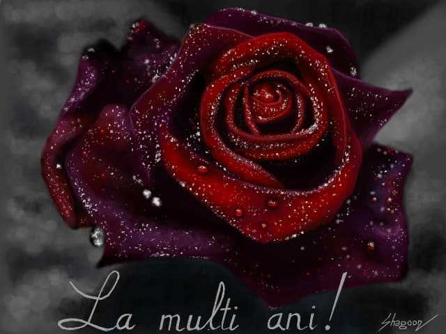 Gift