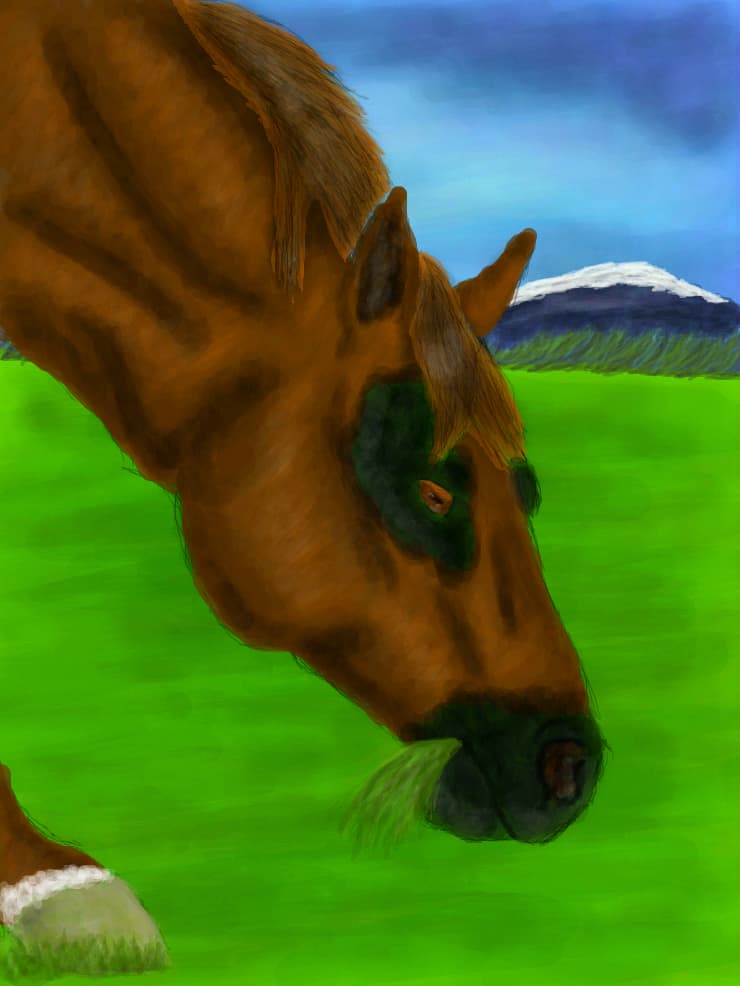 Horsie :D