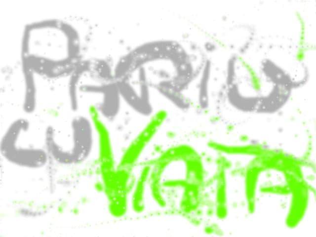 Pariu cu Viata