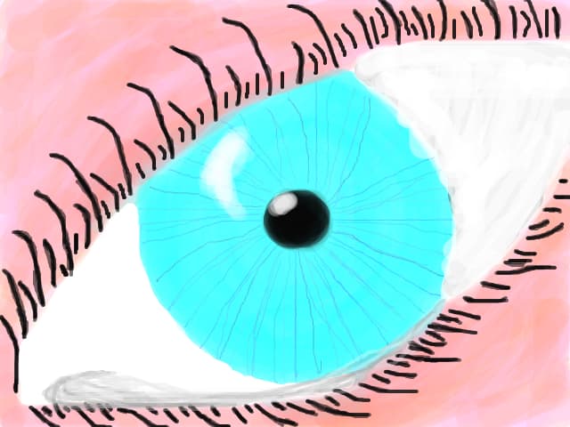 Ochi