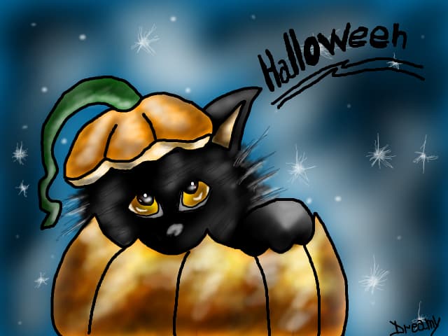 Halloween cat