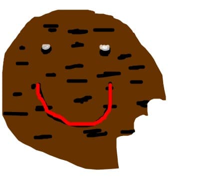 Biscuite Mancat :X