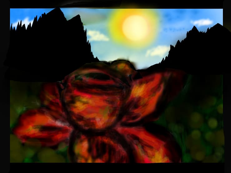 picture
