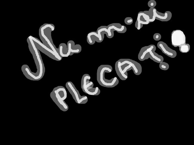 Nu m-ai plecati