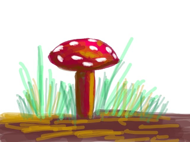 ciupercuta