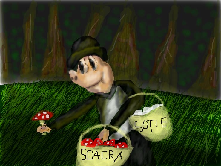 Ciuperci pt soacra si sotie