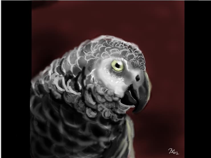 Jako