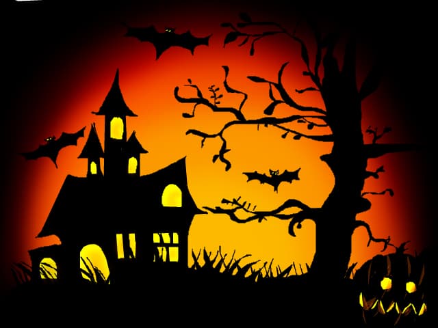 for HALLOWEEN