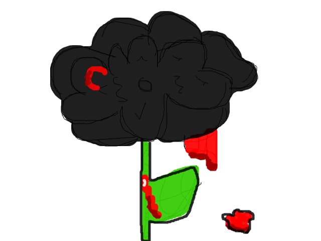 Black Roses