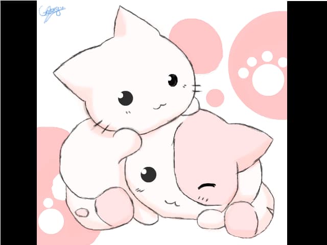 Two Cats Cute