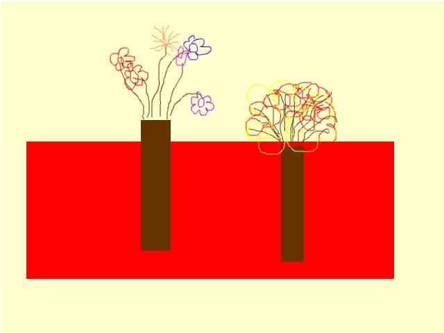 flori