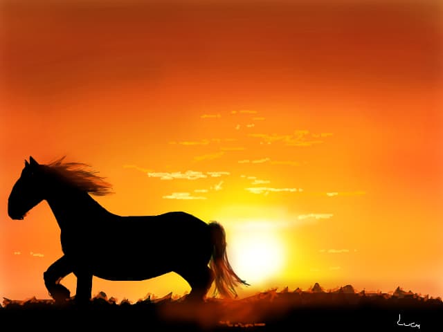Freedom..