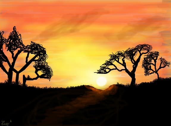 apus in africa