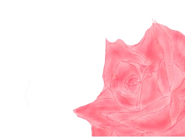 rose