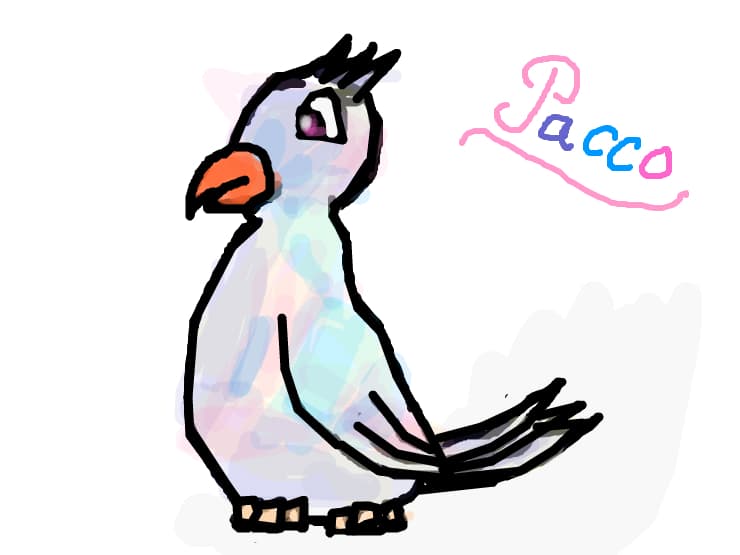 Pacco