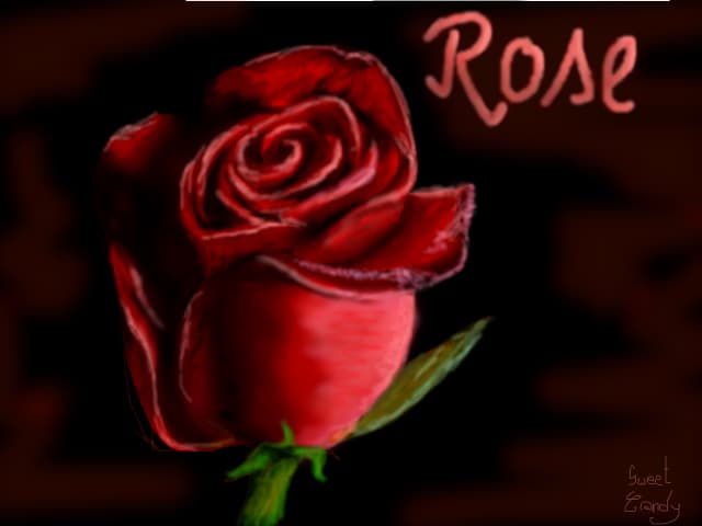 Red Rose