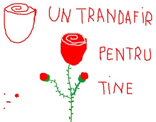 un trandafir pt. tine :-*