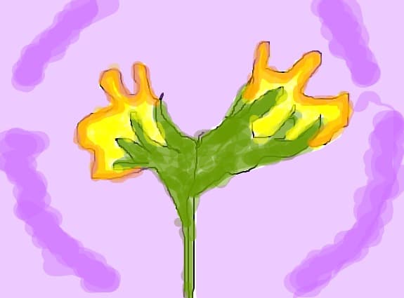 ...narcise...pt rainer*...