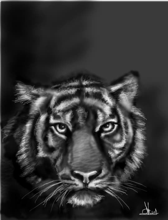 mrrrrrrrr......!