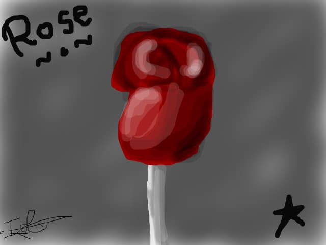 Rose 001